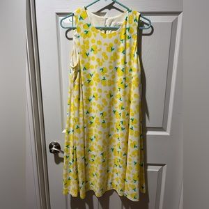 Pappagallo dress, size Large, NWT
